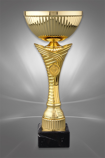 Cupe Sportive CS 53