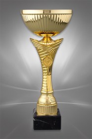 Cupe Sportive CS 53