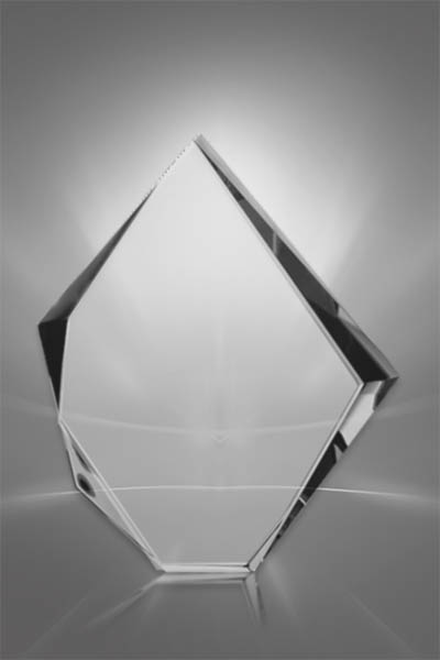Trofee din Cristal 19